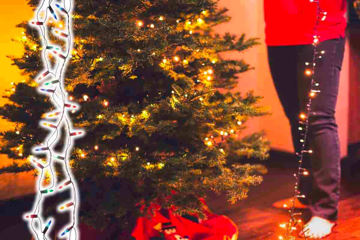 Luci albero Natale: come metterle